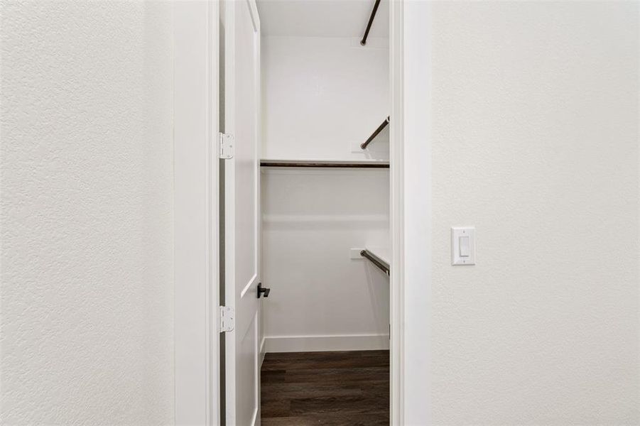 Spacious closet featuring dark wood-style flooring Spacious closet featuring dark wood-style flooring