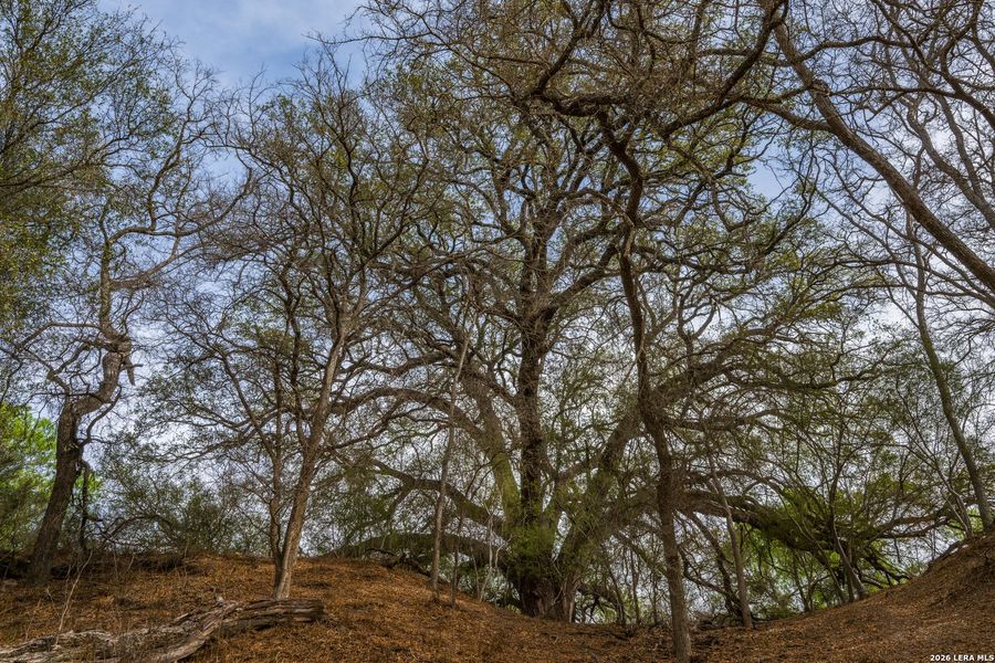Natural landscape and outdoor views near in Crystal City (Image 20). Natural landscape and outdoor views near in Crystal City (Image 20).