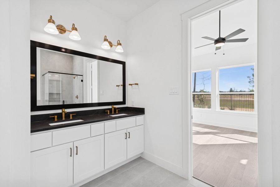 Owner's Bath