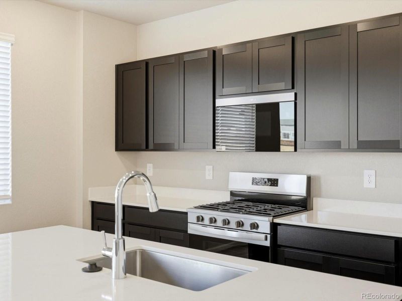 Close-up of interior finishes inside a home in Buffalo Highlands: The Flora Collection, Commerce City (Image 14).