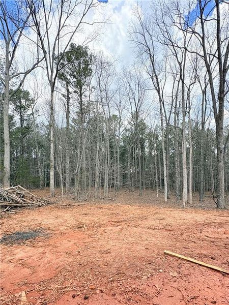 Site preparation for new homesites in , Covington (Image 23).