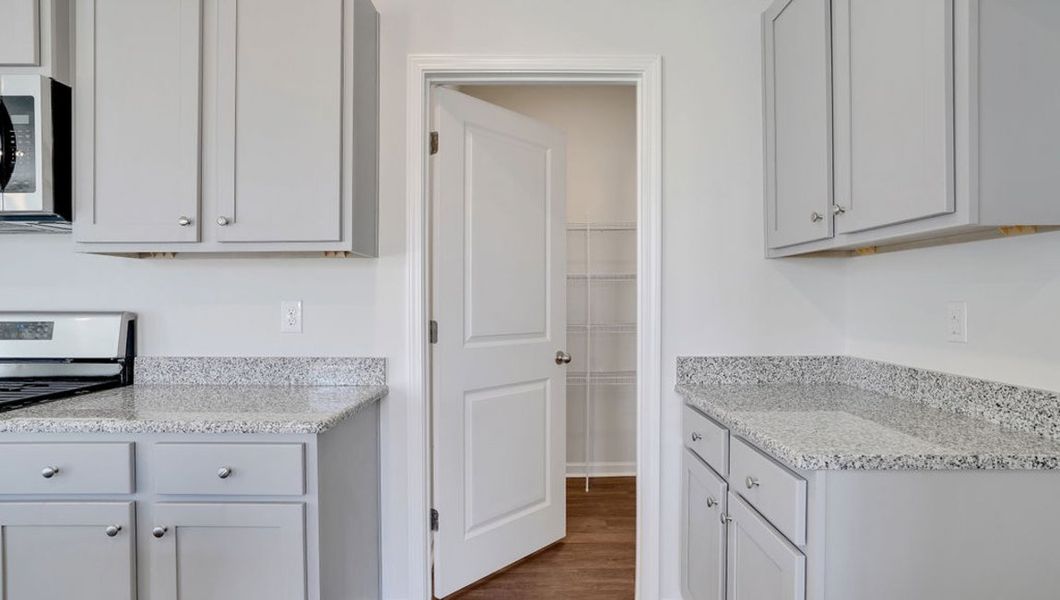 Image 26 representing the ROBIE by D.R. Horton in The Pines at Blake Farm, Wilmington, NC.