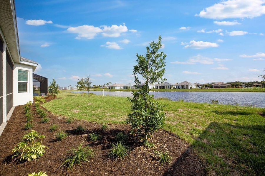 Image 51 of a home in Esplanade at Skye Ranch.