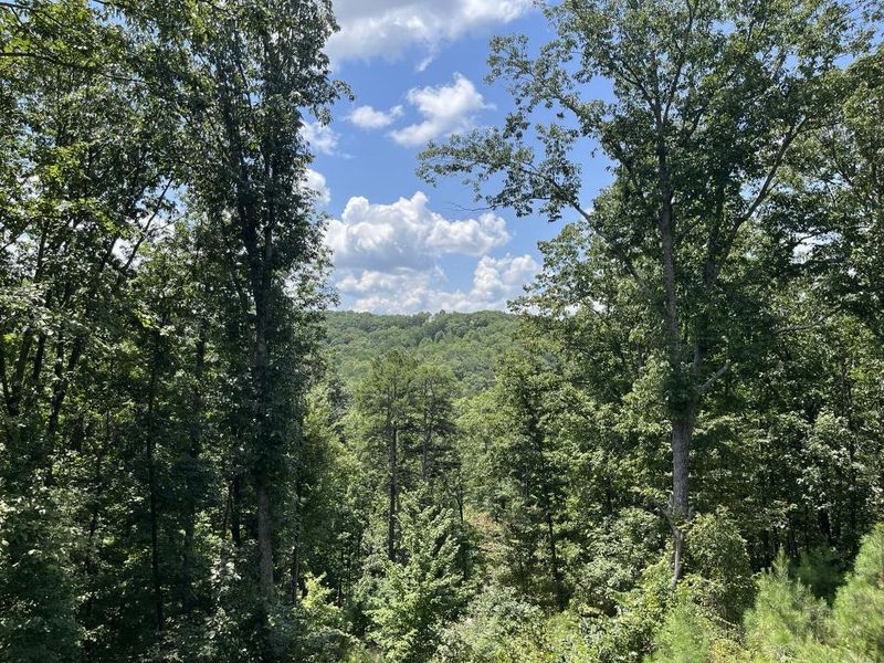 Natural landscape and outdoor views near in Ranger (Image 12). Natural landscape and outdoor views near in Ranger (Image 12).