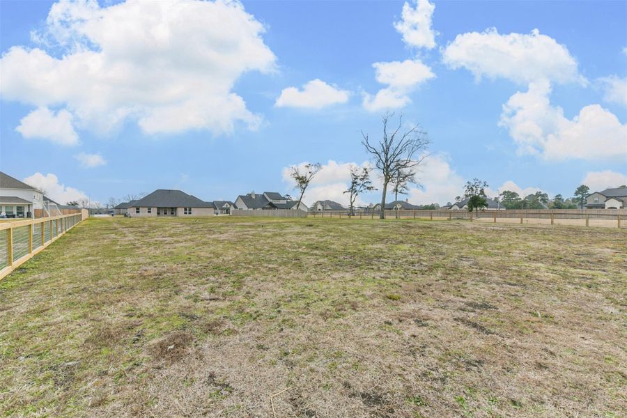 Natural landscape and outdoor views near  in Baytown (Image 40).