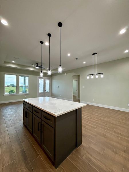 This photo showcases a spacious open-concept kitchen and living area with modern pendant lighting. It features a large kitchen island with a sleek quartz countertop, wood-look tile flooring, and ample natural light from large windows and glass doors.