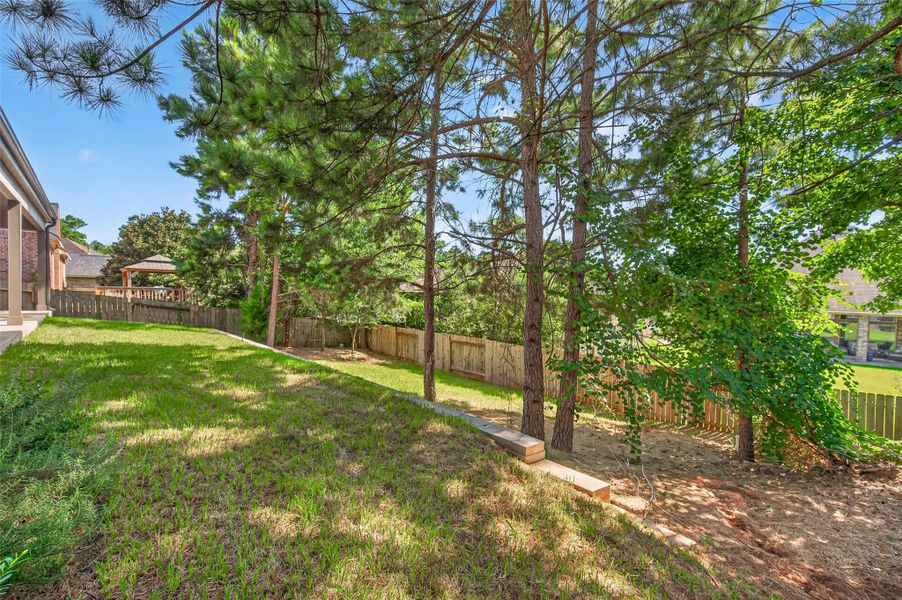 Natural landscape and outdoor views near  in Conroe (Image 46).