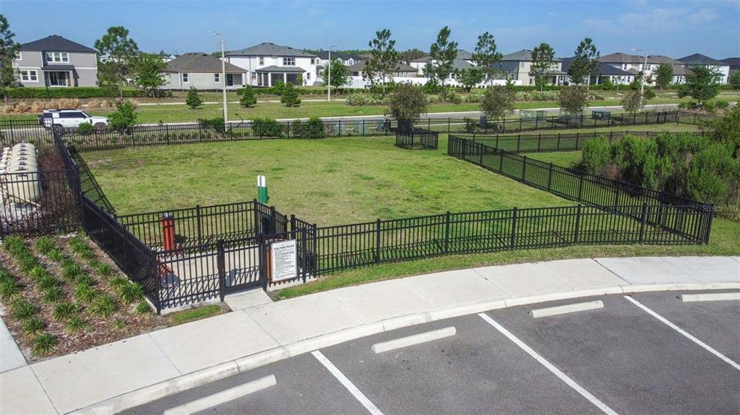 Community amenities in , Wesley Chapel (Image 38).
