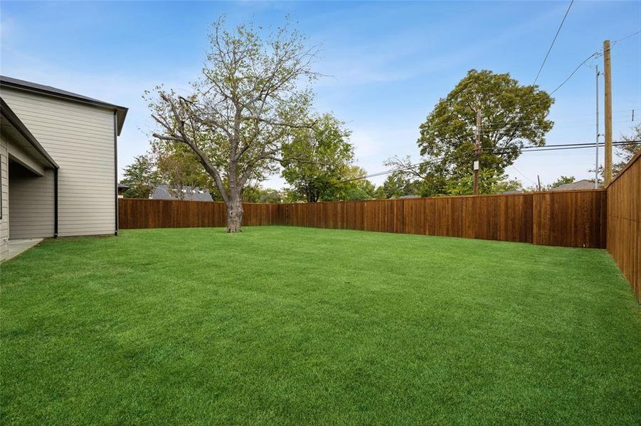 Oversized Backyard with room for a pool