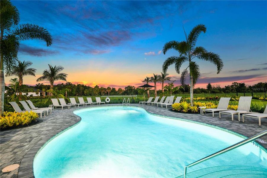 Community amenities in Skye Ranch Community Group Page, Sarasota (Image 85). Community amenities in Skye Ranch Community Group Page, Sarasota (Image 85).