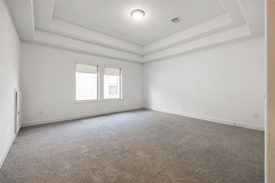 Lots of extra relaxing space upstairs - game room with beautiful tray ceiling, carpet