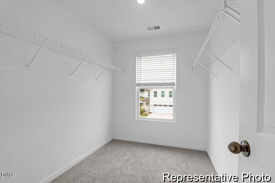 201 Surfbird -Tidalcreekphoto- (20)_REP 201 Surfbird -Tidalcreekphoto- (20)_REP