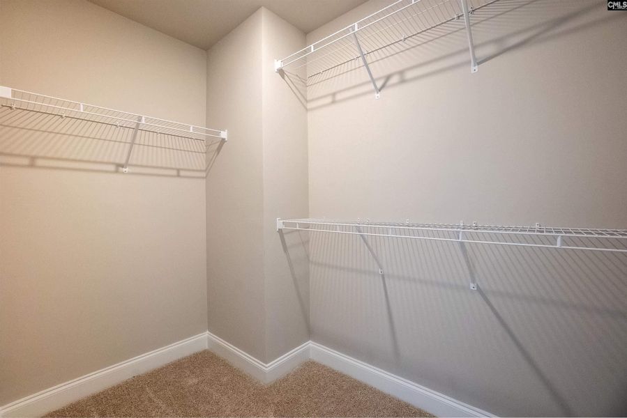 Spacious, unfurnished interior of a new home in The Cove, Sumter (Image 60).