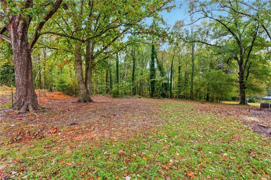 Natural landscape and outdoor views near  in Toccoa (Image 40).