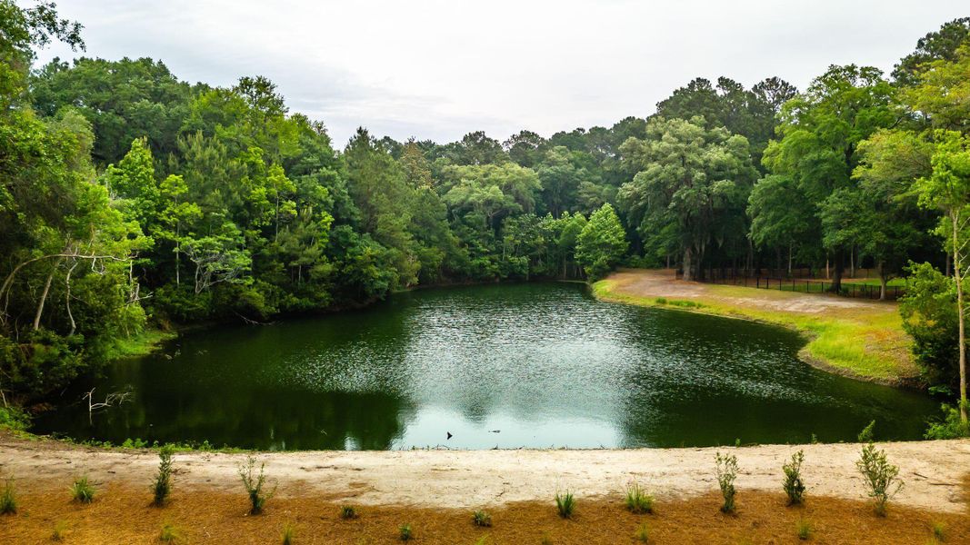 Natural landscape and outdoor views near  in Johns Island (Image 119).