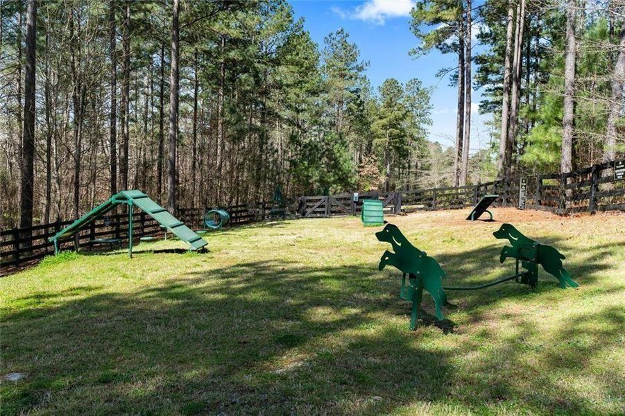 Community amenities in , Dallas (Image 37).