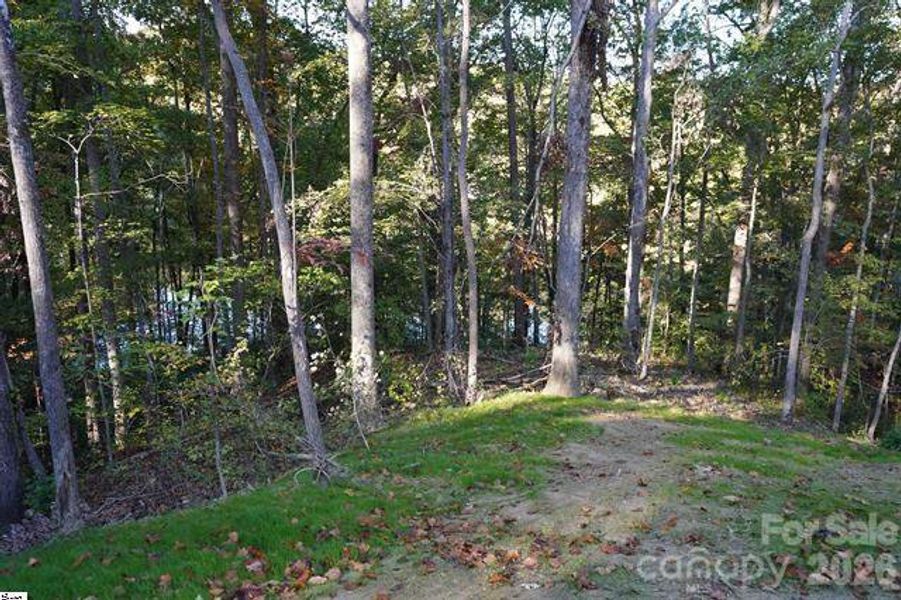Natural landscape and outdoor views near  in Travelers Rest (Image 29).