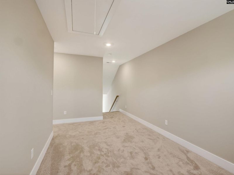 Spacious, unfurnished interior of a new home in Collins Cove, Chapin (Image 34).