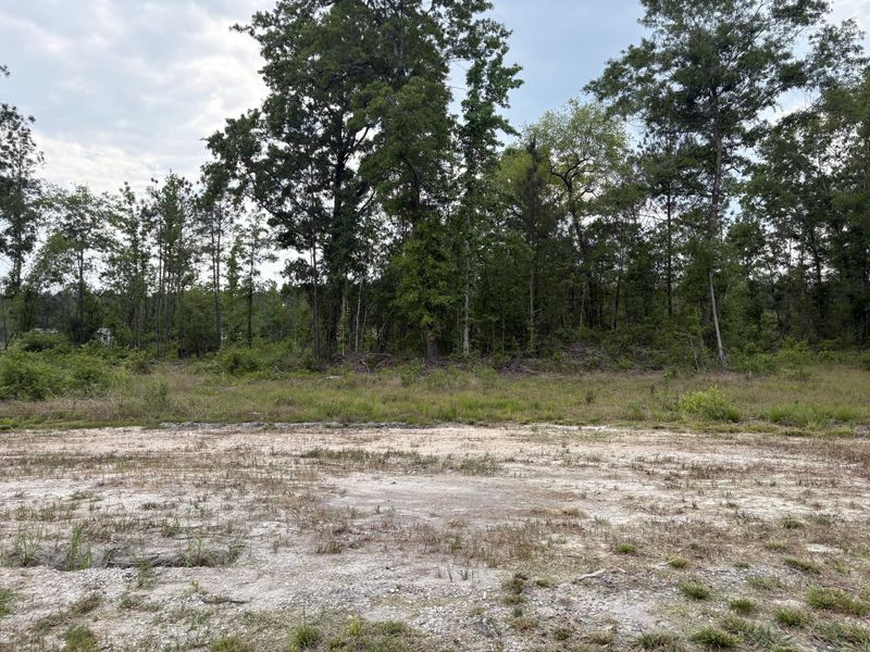 Natural landscape and outdoor views near  in Cottageville (Image 37).