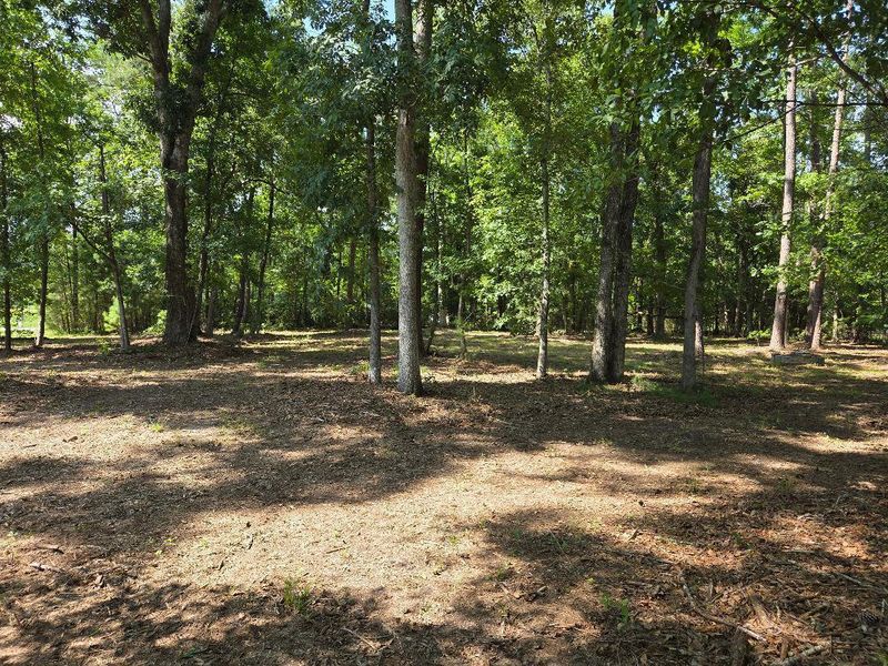Natural landscape and outdoor views near in Meggett (Image 30). Natural landscape and outdoor views near in Meggett (Image 30).