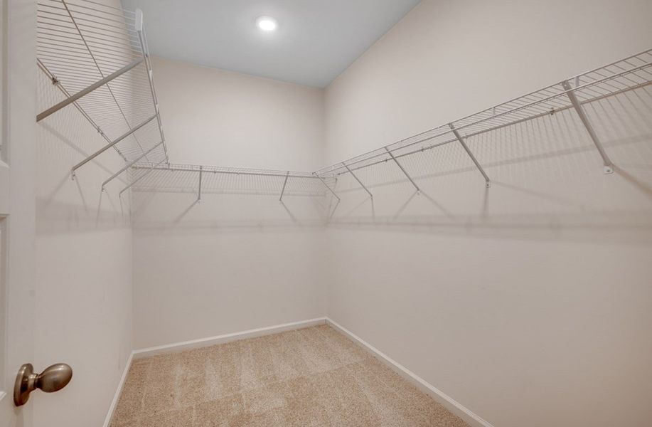 Camden Closet Camden Closet