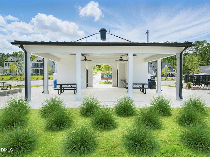 D5_Image 17_20240208_232240 D5_Image 17_20240208_232240