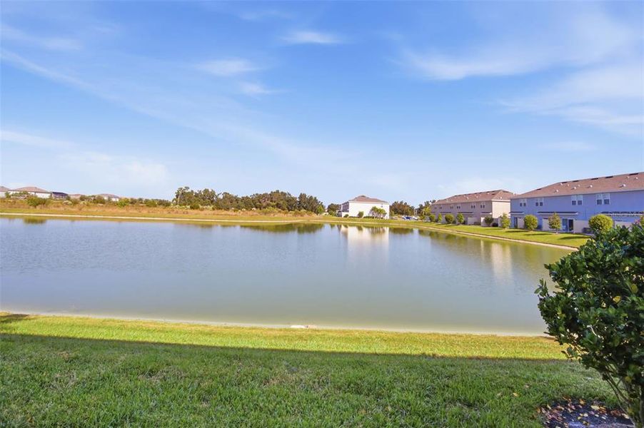Natural landscape and outdoor views near  in Wesley Chapel (Image 26).