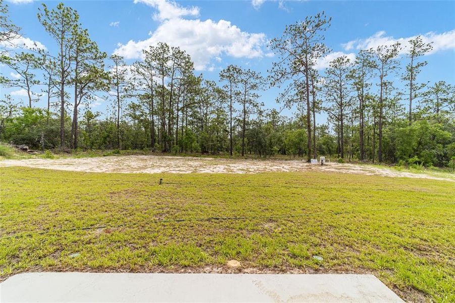 Natural landscape and outdoor views near in Dunnellon (Image 46). Natural landscape and outdoor views near in Dunnellon (Image 46).