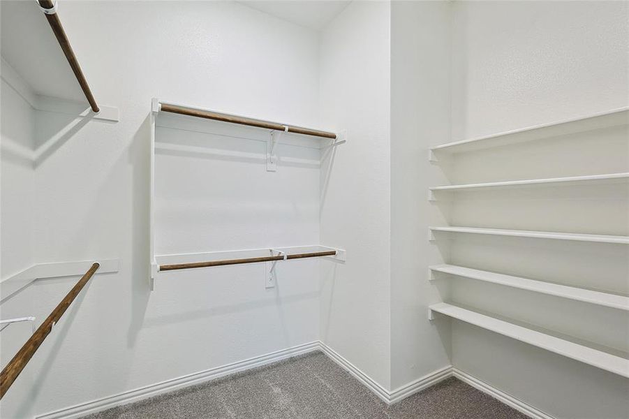 Walk in closet featuring carpet