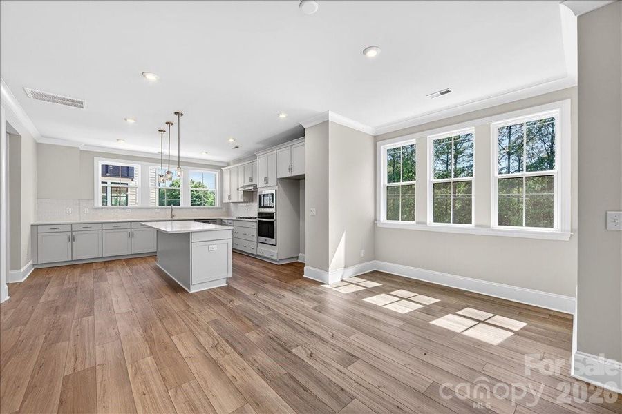 Gourmet Kitchen with ample natural light Gourmet Kitchen with ample natural light