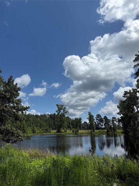 Natural landscape and outdoor views near  in Groveton (Image 7).