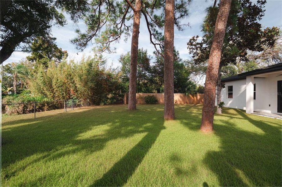 Natural landscape and outdoor views near  in Clearwater (Image 39).