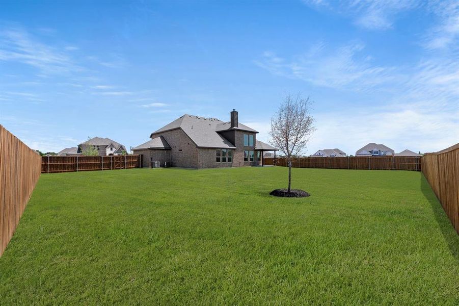 31_32. 505 Alto - Back (2)