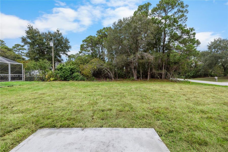 Natural landscape and outdoor views near in Palm Bay (Image 42). Natural landscape and outdoor views near in Palm Bay (Image 42).
