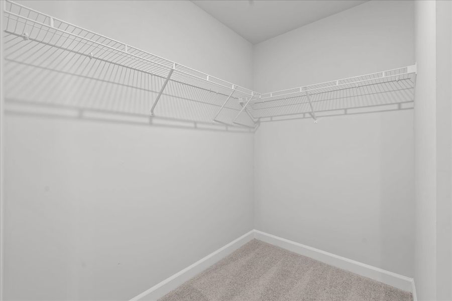 Spacious, unfurnished interior of a new home in Creek Ridge - Heritage Collection, Spartanburg (Image 14).