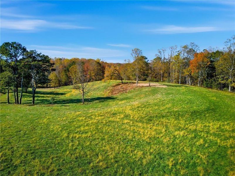Natural landscape and outdoor views near  in Alpharetta (Image 2).