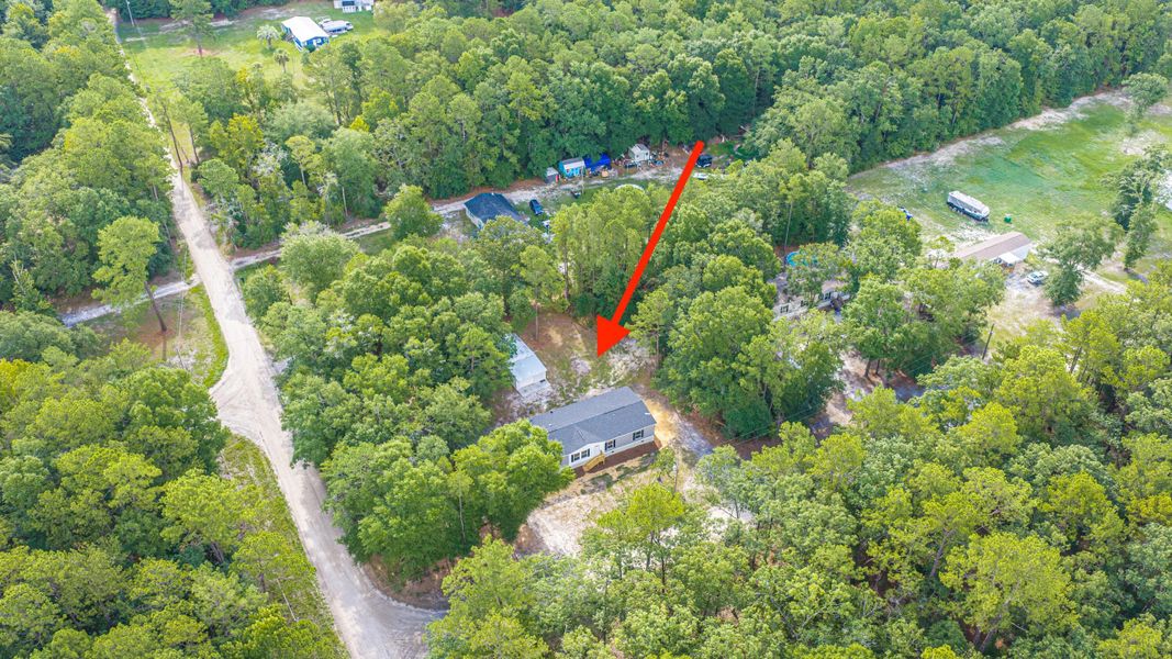 Natural landscape and outdoor views near  in Walterboro (Image 60).