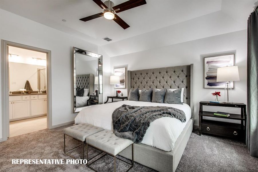 Dreamy owner's suites are plentiful in our homes at Park Vista!  REPRESENTATIVE PHOTO OF MODEL HOME.