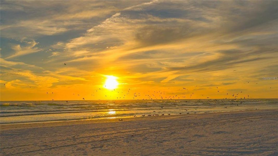 Natural landscape and outdoor views near  in Sarasota (Image 68).