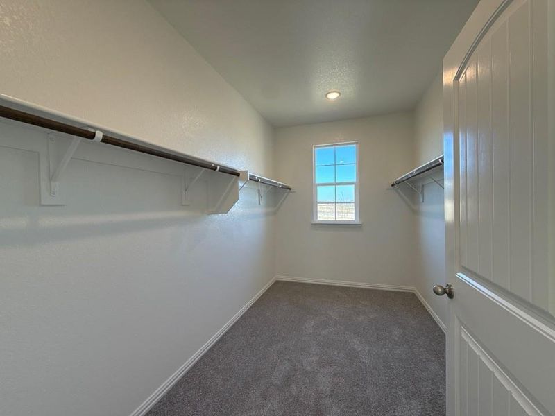 Walk in closet with dark carpet