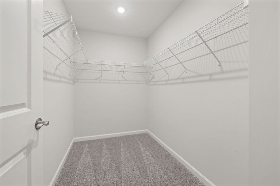 Spacious, unfurnished interior of a new home in Solana, Durham (Image 15).