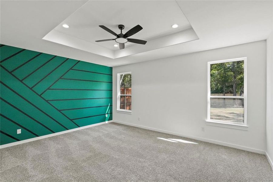 Empty room featuring plenty of natural light, a raised ceiling, and carpet floors