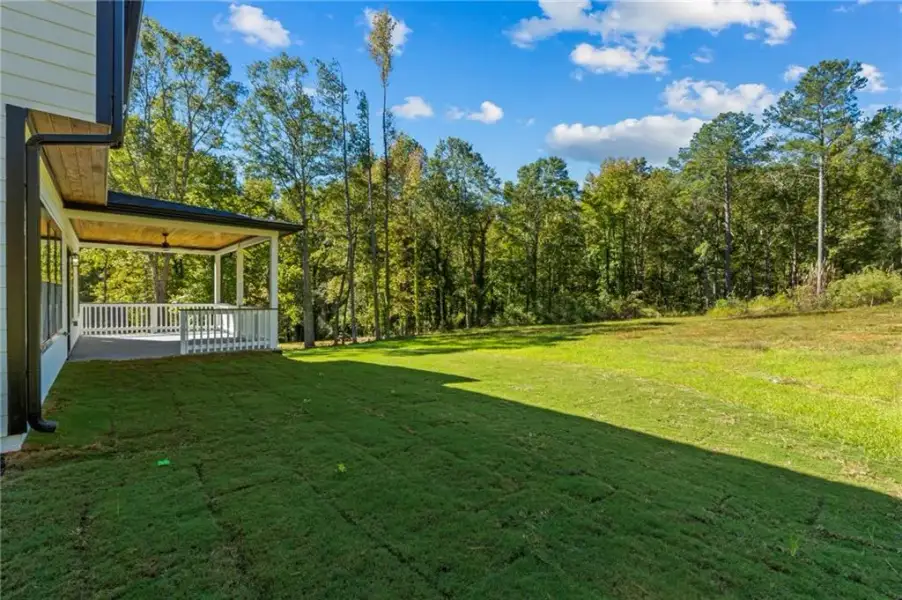 Exterior details and patio area of a home in , McDonough (Image 21).