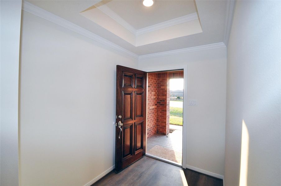 Beautiful Raised panel mahogany entry door.