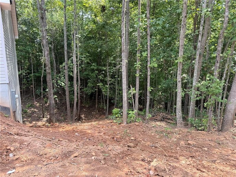 Natural landscape and outdoor views near in Mount Airy (Image 13). Natural landscape and outdoor views near in Mount Airy (Image 13).