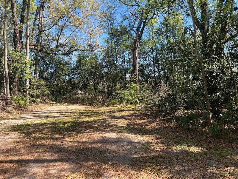 Natural landscape and outdoor views near  in Branford (Image 34).