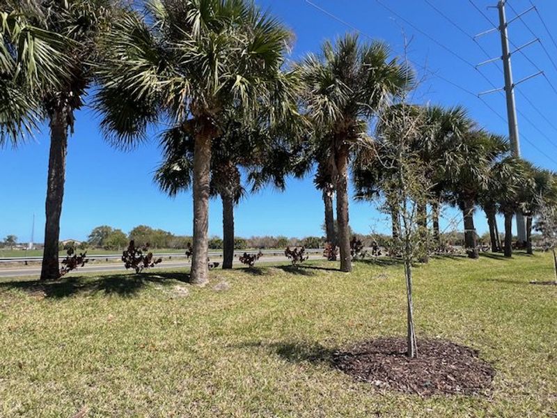 Natural landscape and outdoor views near Lakes At St Sebastian in Micco (Image 32).