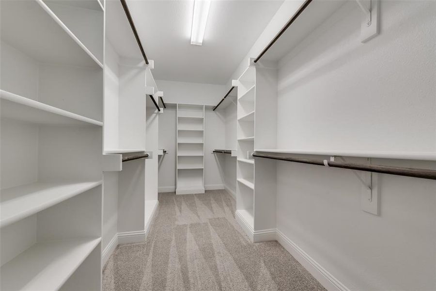 Spacious closet featuring light carpet