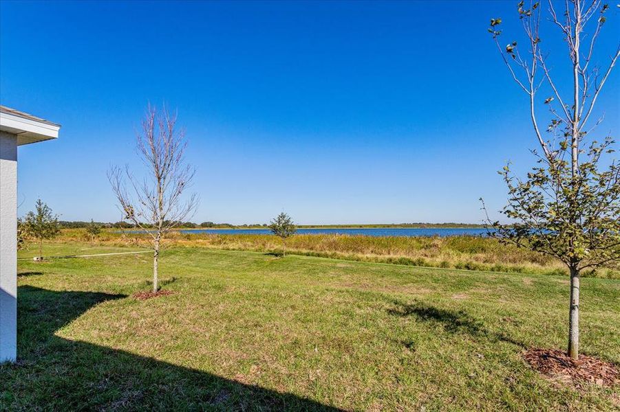 Natural landscape and outdoor views near Cypress Park Estates in Haines City (Image 17). Natural landscape and outdoor views near Cypress Park Estates in Haines City (Image 17).