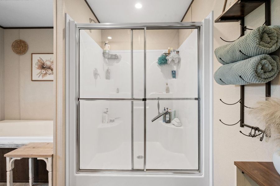 Primary Shower